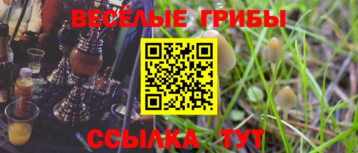 Галлюциногенные грибы мухоморы  Вход с VPN  Бахчисарай 